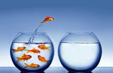 So Will There Really Be a Flood Of Retirees?