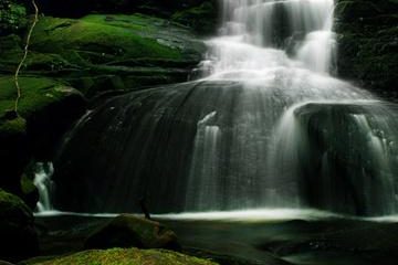 kartik test 20 december