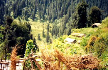 My Title Sponsored by:Shail Gandhi