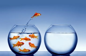 this is test by kartik, by Bansi Desai