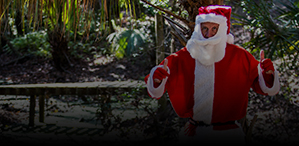 Indexed Universal Life Insurance Page